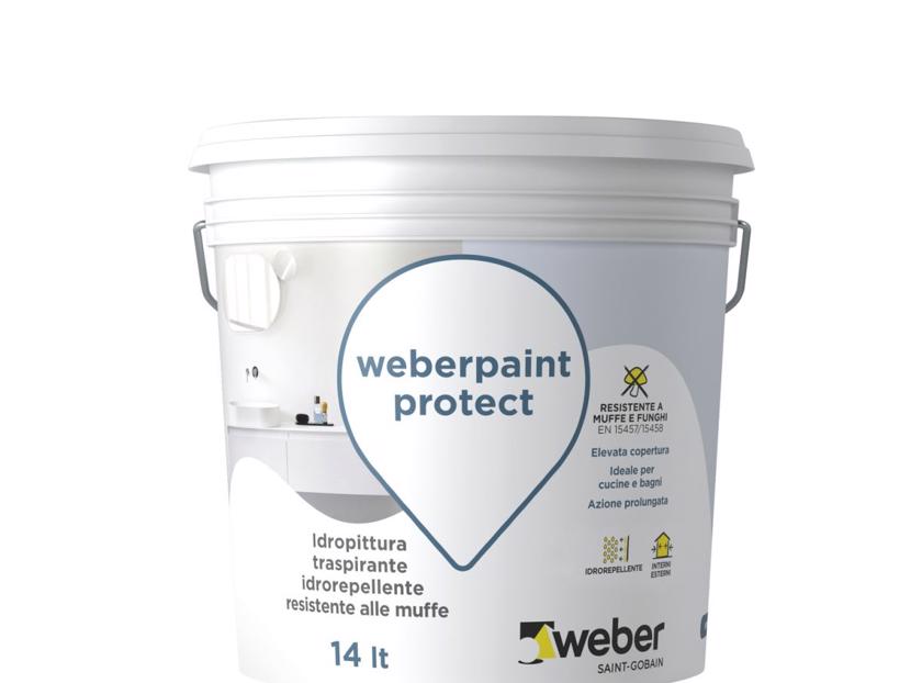 Weberpaint protect